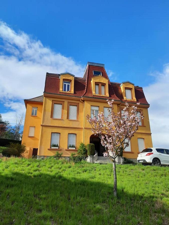 Studio Soleil Au Hohwald Екстер'єр фото