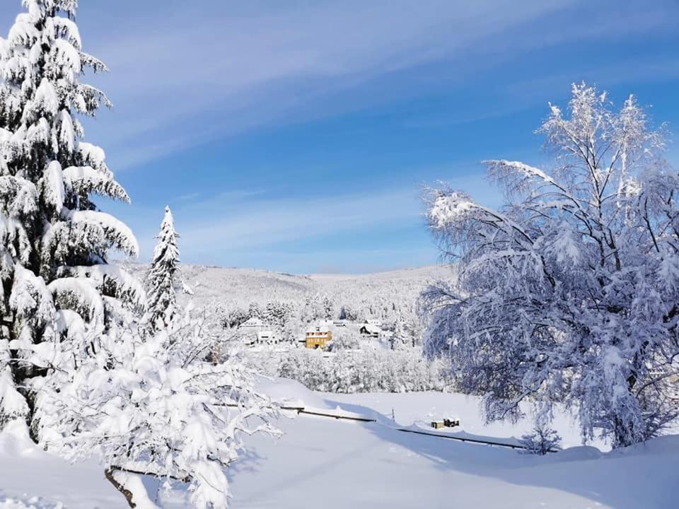 Studio Soleil Au Hohwald Екстер'єр фото